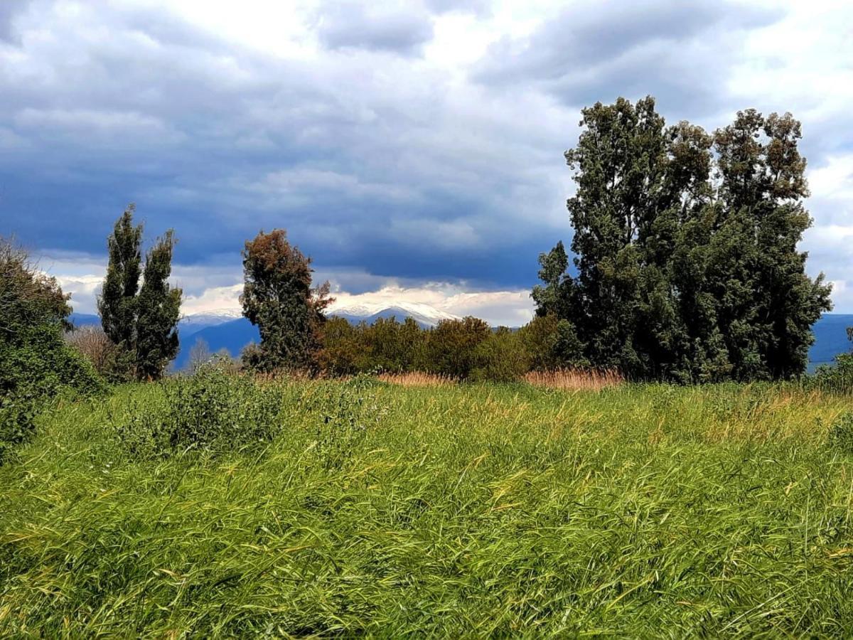 בית קסום בשדה נחמיה Villa Eksteriør bilde